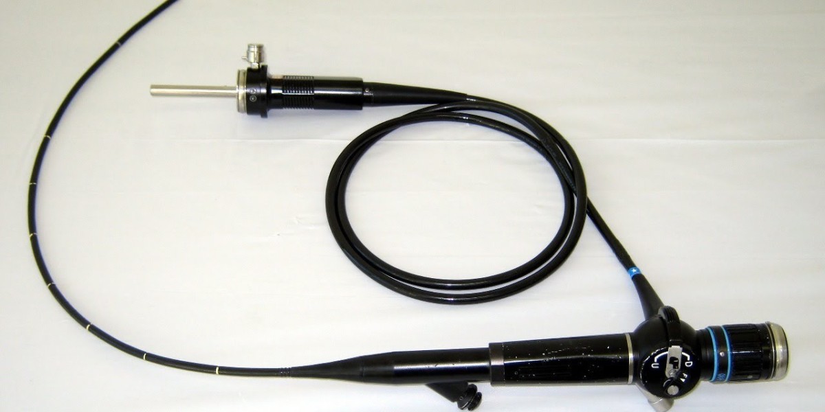 "Emerging Opportunities in Ultrasound Endoscopy: Market Outlook & Insights (2021-2031)"