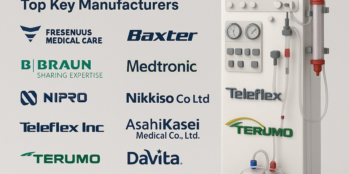 Global Competition and Market Positioning in Hemodialysis Equipment (2025–2031)