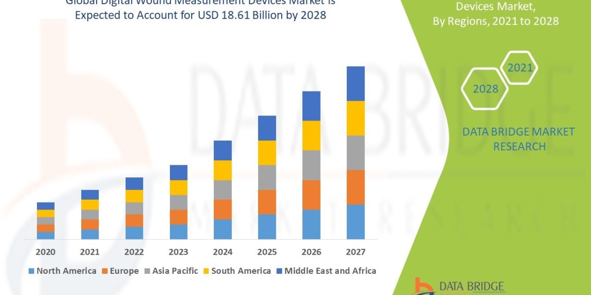 Digital Wound Measurement Devices Market: Forecast and Trends Period 2025 - 2032