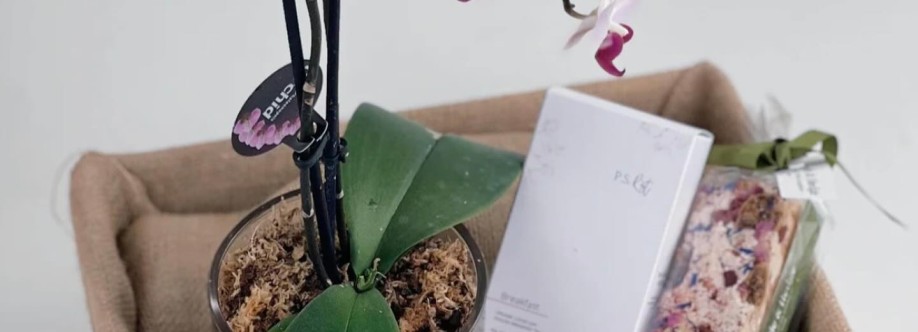 The Little Market Bunch Cover Image