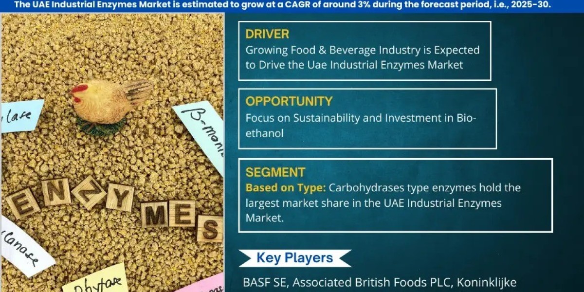 Explore the UAE Industrial Enzymes Market | Growth, Demand & Competitive Analysis