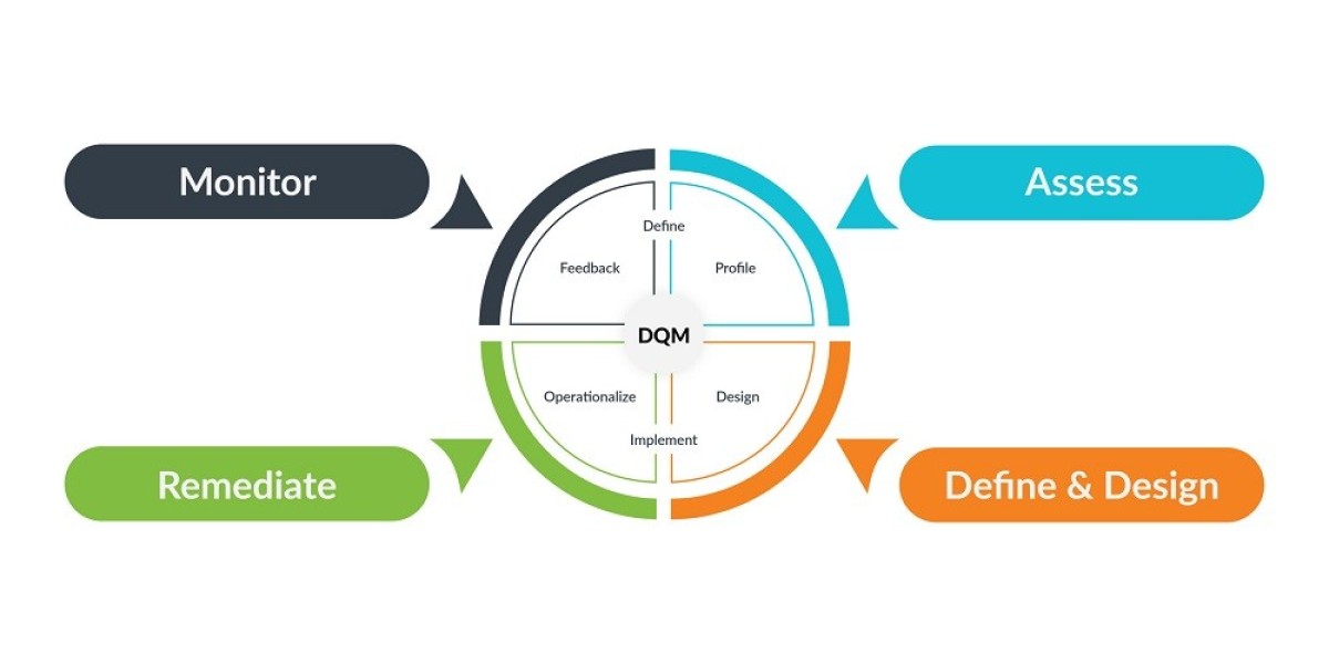 Key Insights from the Data Quality Industry Report