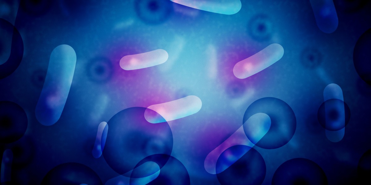 Understanding Money to Borrow with No Credit Check