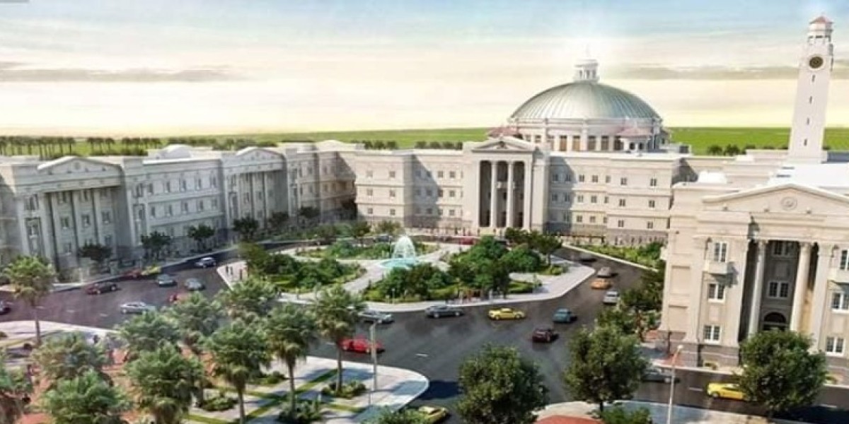Explore MBBS in Egypt – World-Class Education at Low Cost
