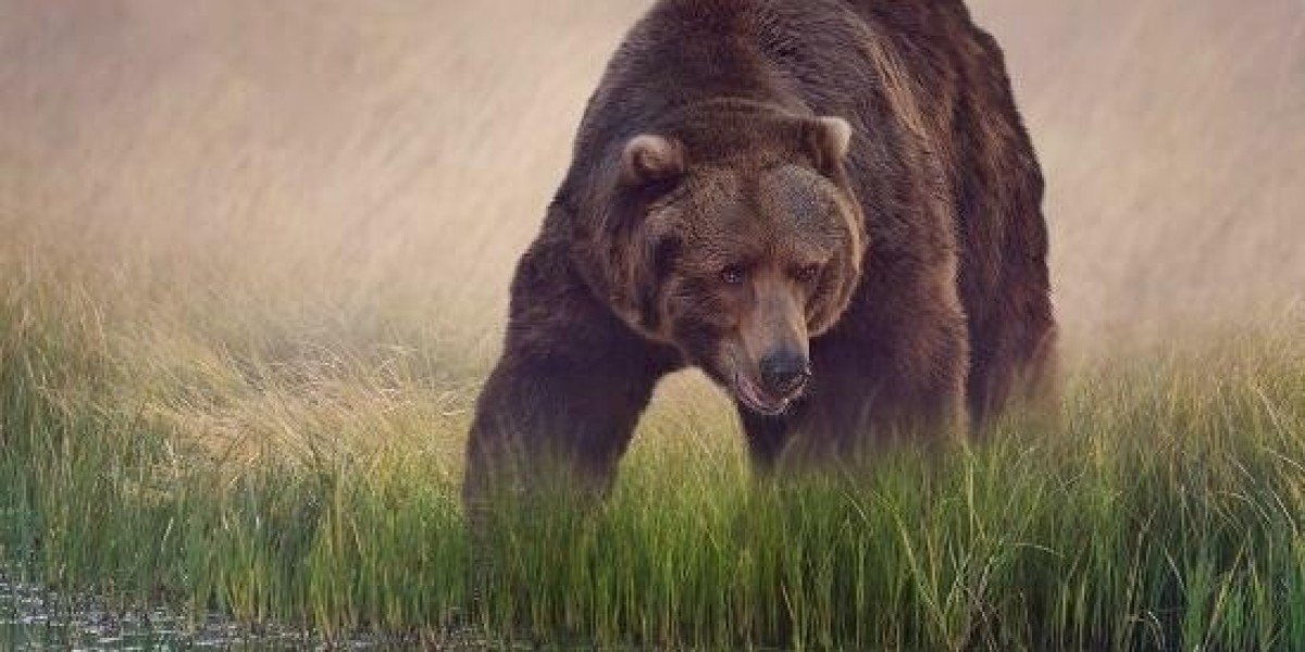 Risk is Dependent on Market Conditions