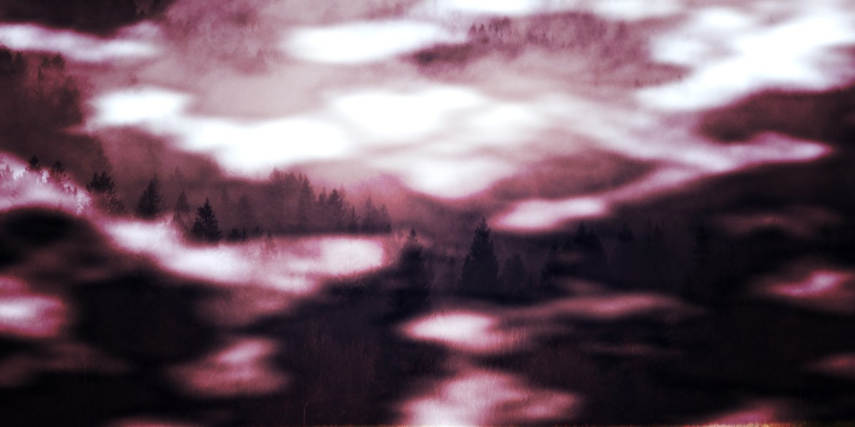 Exploring Alternative Academic Treatments: A Case Study on Holistic Approaches In Studying