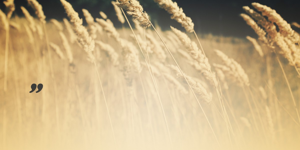 Comprehensive Examine Report on The Bombardier Challenger 605