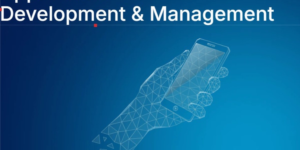 The Strategic Advantage of Partnering with IT Consultants for Healthcare Software