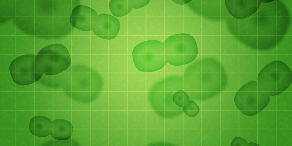 Revolutionizing Air Journey: The Rise Of Affordable Private Jet Charter Companies