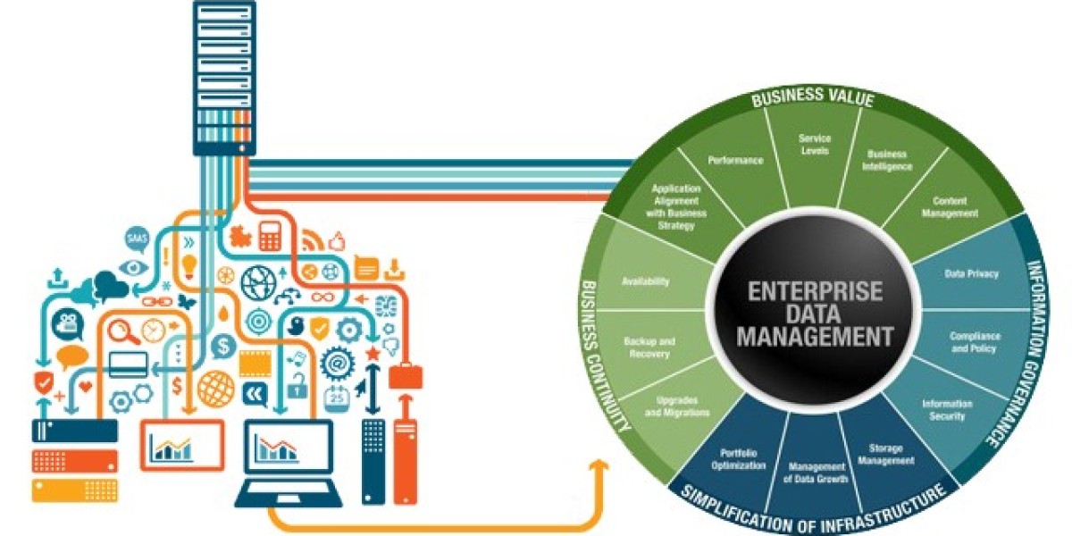 Examining the Research and Industry Size of the Europe Enterprise Data Management Market