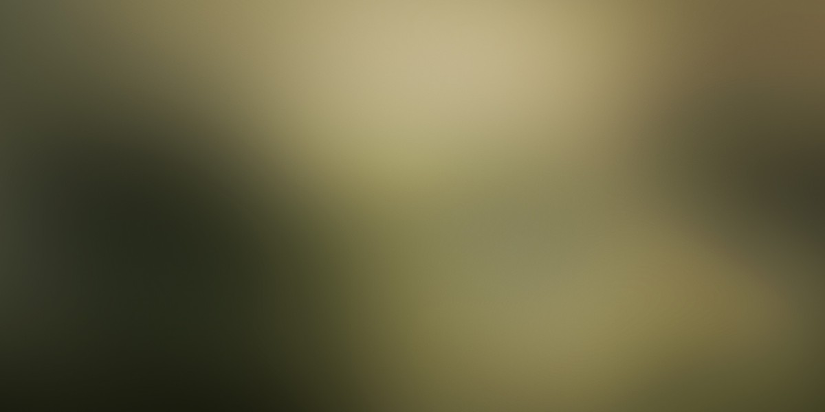 Investing in Gold: A Well Timed Alternative For Monetary Security