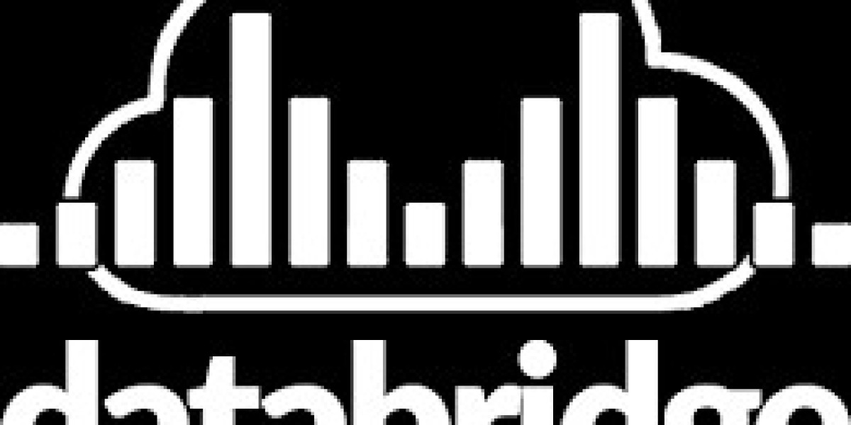 Global Agricultural Fertigation and Chemigation Market Outlook: Size, Share, Trends, and Forecast, 2025–2032