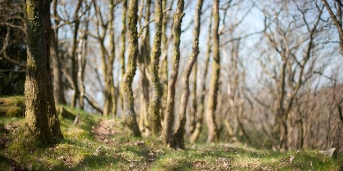 Stay Casino Australia Login & Sign Up