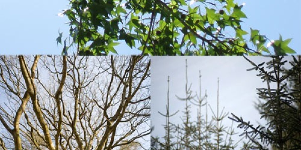 Play 19,430+ Free Slot Games 98 5% RTP No Download