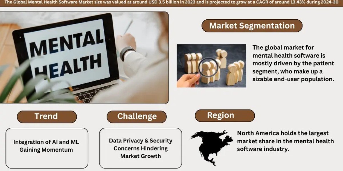 Mental Health Software Market Size, Share & Growth